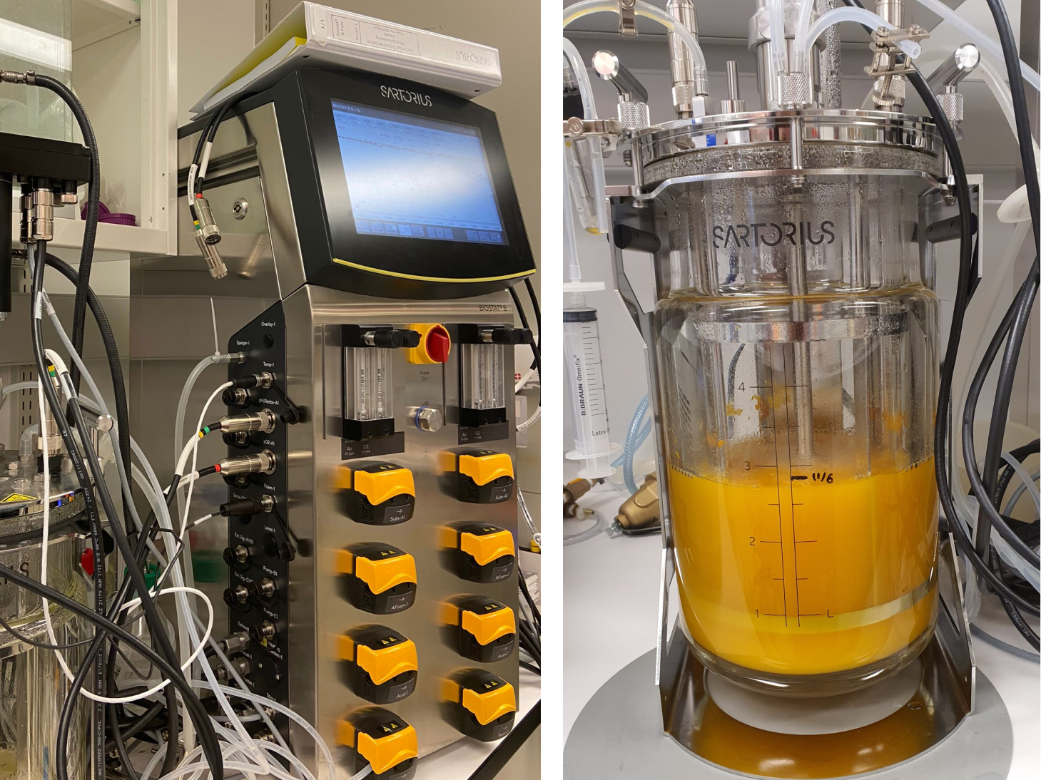 Sartorius Biostat® B and 5L Univessel® Glass Bioreactor